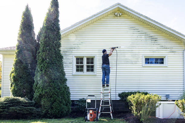 Best Dumpster Area Cleaning  in Alpena, MI