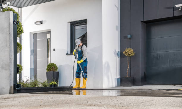 Best Sign and Awning Cleaning  in Alpena, MI